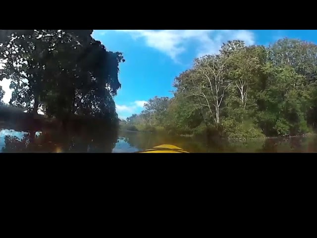 Kayaking the Nissequogue River 2021