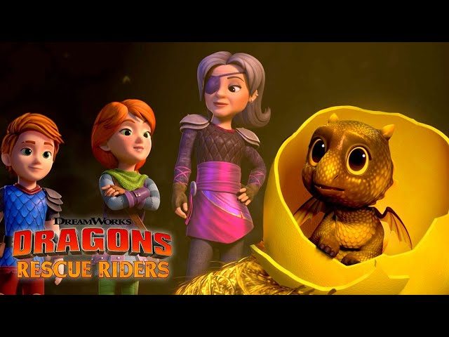 Finding a Dragon Baby | DRAGONS RESCUE RIDERS: HUNT FOR THE GOLDEN DRAGON