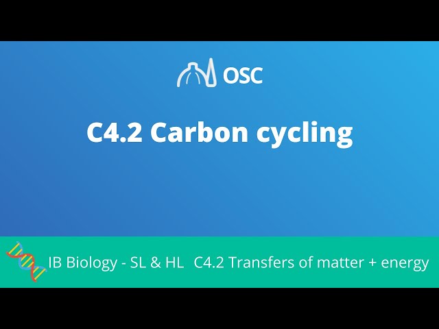 C4.2 Carbon Cycling [IB Biology SL/HL]