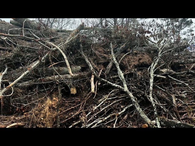 Columbia County debris cleanup is probably only halfway done