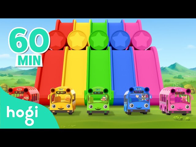 Five Little Color Buses (NEW) + More｜Best Colors Songs of the Month｜Songs for Kids｜Hogi & Pinkfong