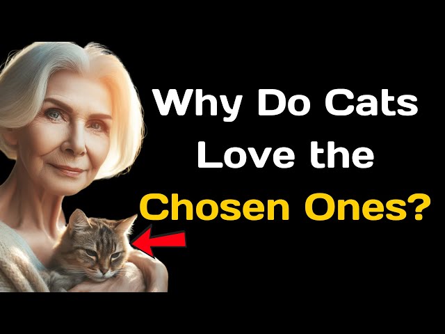 Why Do Cats Love the Chosen Ones?