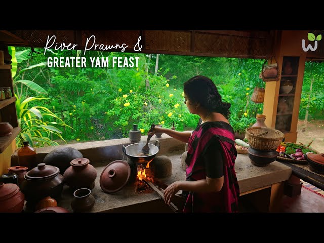 River Prawns & Greater Yam Feast | Kerala Traditional Lunch Recipes | Village lifestyle & foods 🍤🥥🍠