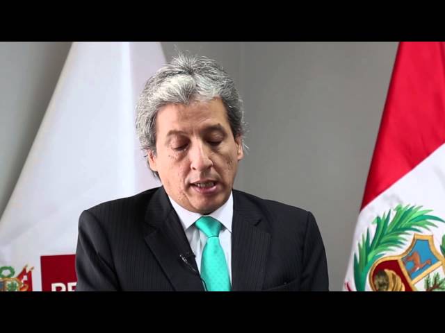 Minister of Minister of Environment of Peru adresses COP 21 briefing in New York