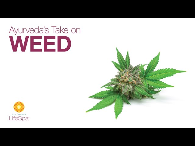 Ayurveda's Take on Weed | John Douillard's LifeSpa