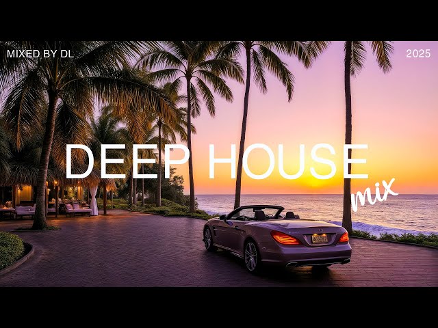 Ocean Breeze & Sunset Rhythms 🌴 Perfect Sounds for Unwinding | Mixed By DL Music