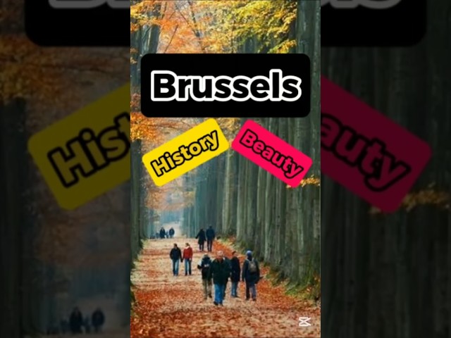 Brussels: Unveiling the Heart of Europe's History and Beauty #travel #shorts