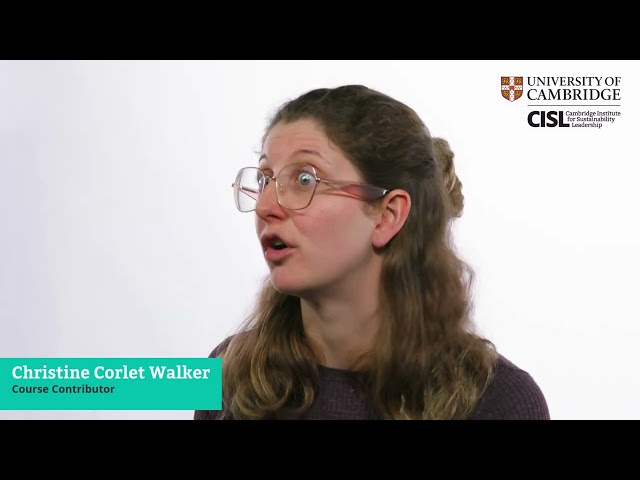 Sustainable Business Foundations - Christine Corlet Walker - Why is this course important?