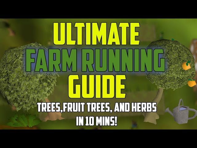 OSRS - Ultimate Farm Running Guide! (Trees/Fruit Trees/Herbs) IN 10 MINS!