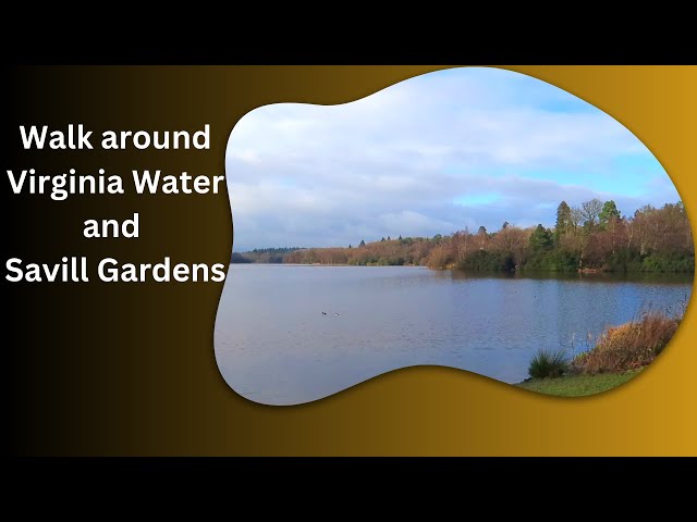 Relaxing winter walk around Virginia Water and Savill Gardens, Windsor Great Park