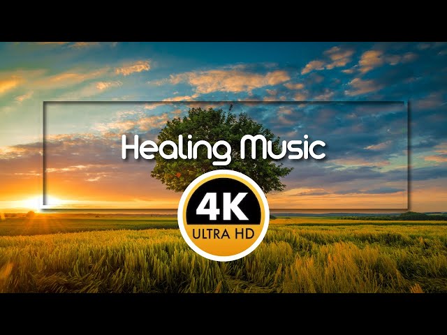 528 Hz Frequency Deep Healing Music | Healing and Soul Music | Relax Mind Body | Relaxation Music