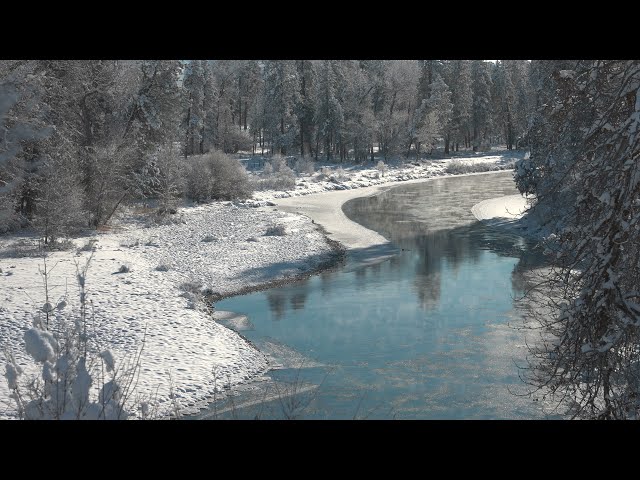 Methow River freezing up