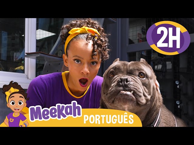 Meekah Brinca com Animais! | MARATONA DA MEEKAH! | Vídeos Educativos em Português