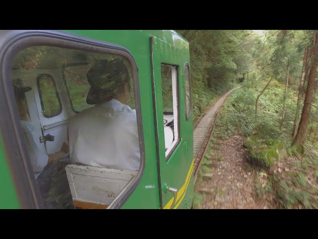 安房りんてつ: we ride Japan's last railway on remote Yakushima Island 屋久島 or 安房森林軌道