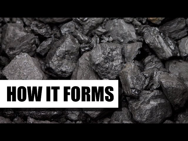 How Coal is Formed