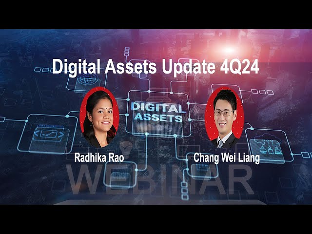 Webinar: Digital Assets Update 4Q24: Crypto frenzy