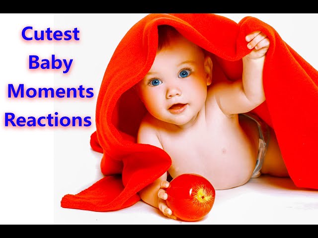 Best Cutest Baby Moments Videos Make You Happy || cute baby studio