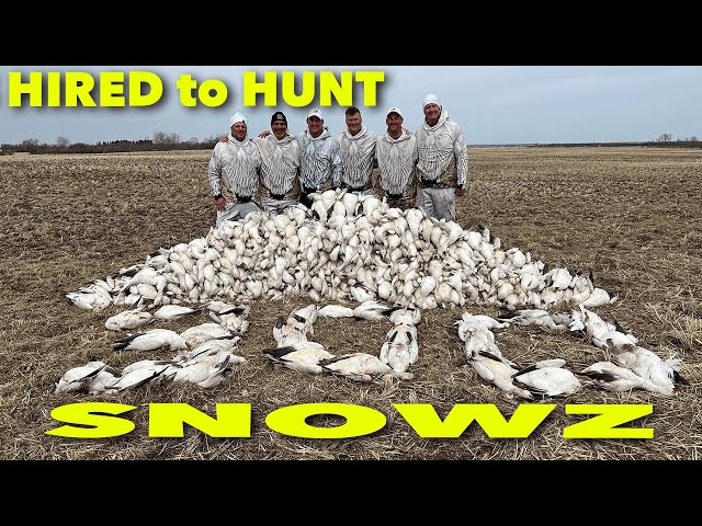 6 Hunters 300 Snows ... Hired to Hunt Season 8 #1 ... Goose Hunting Duck Hunting Ongaro's in ALBERTA