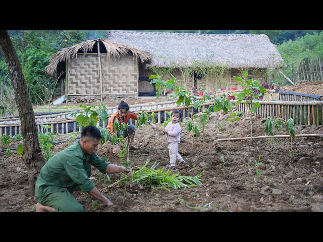 Gardening, Harvesting and Planting, Family Farm | EP. 09