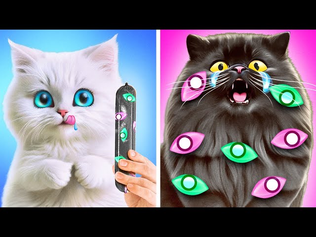 Treat Your Pets Right 🥰😻 Best Hacks and Crafts for Pet Owners