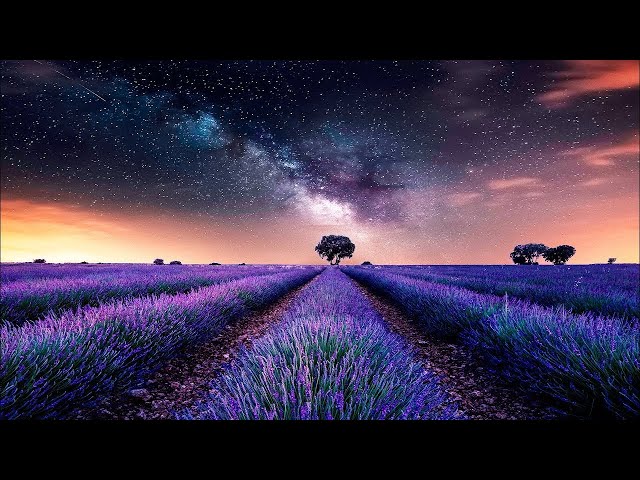 🔴DEEP HEALING SLEEP: Sleep Music • Delta Waves • Calming Music • Meditation Music • Relaxation