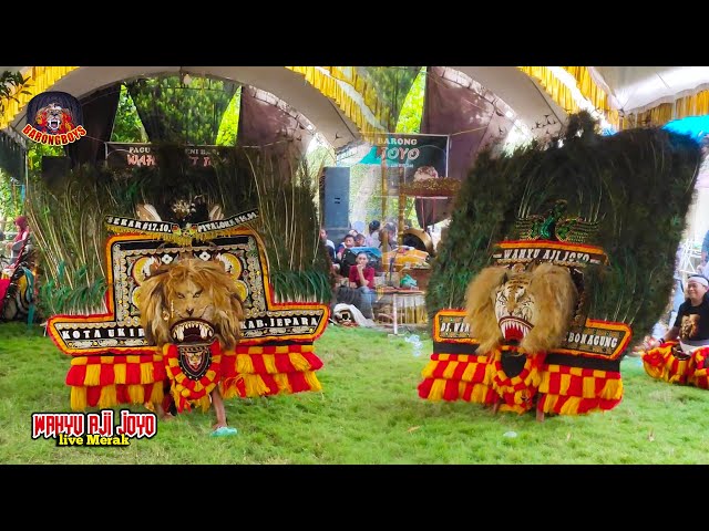 Full Solah Reog Ponorogo Terbaru | Barongan WAJ Werdoyo Live Merak | Barongboys