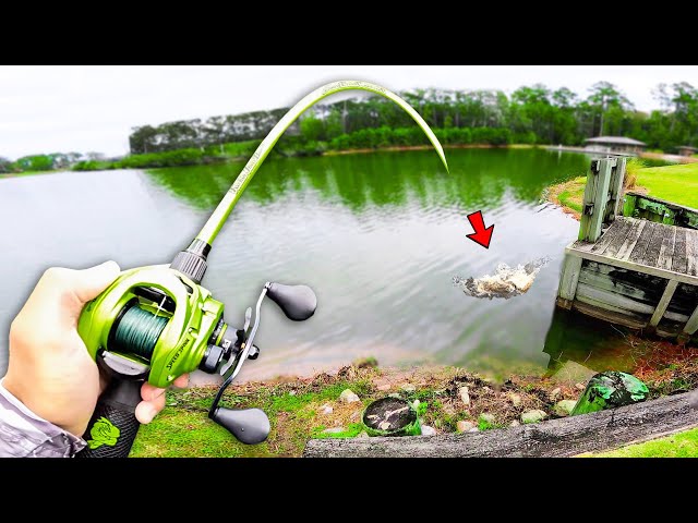 Fishing 100 Year Old HIDDEN Trophy Pond!