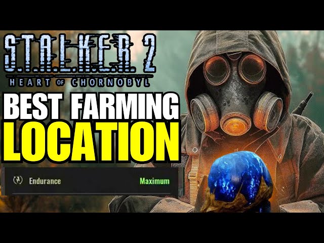 Stalker 2 - Thunderberry Farming Location + DO THEY STACK?