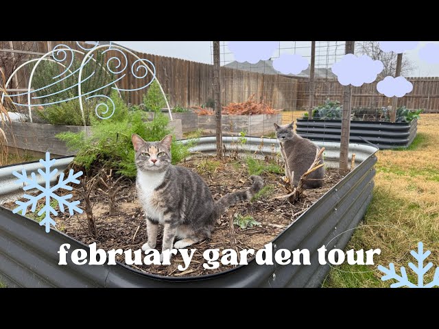 ANOTHER Freeze Is Coming! ❄️ February Garden Tour