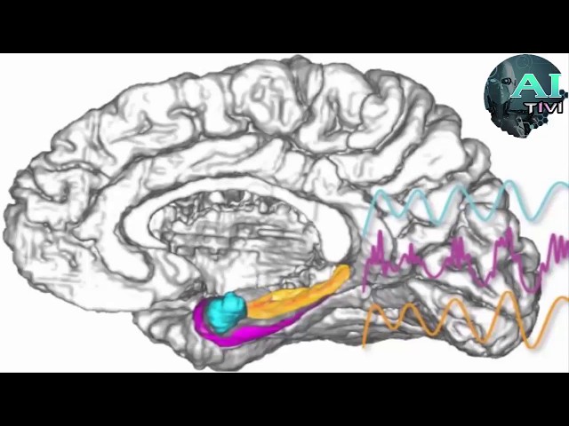 Direct amygdala stimulation can enhance human memory for a day | A.I Tivi