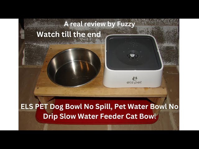 ELS PET Dog Water Bowl! Genuine Review by Fuzzy