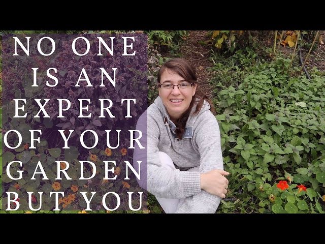 NO EXPERTS: why BACK TO EDEN or PERMACULTURE won't have all the answers for your garden