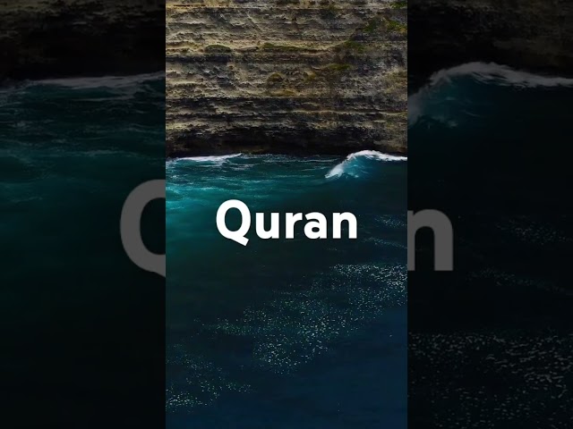 Quran urdu translation