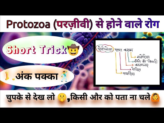 #प्रोटोजोआ (परजीवी) से होने वाले रोग ट्रिक #Protozoa Deases#Protozoa Trick#Biology Trik #Short Trick