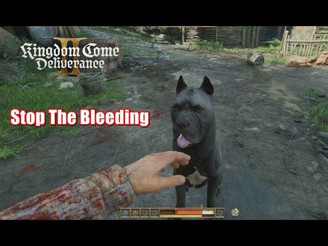 Kingdom Come Deliverance 2 - Stop the bleeding