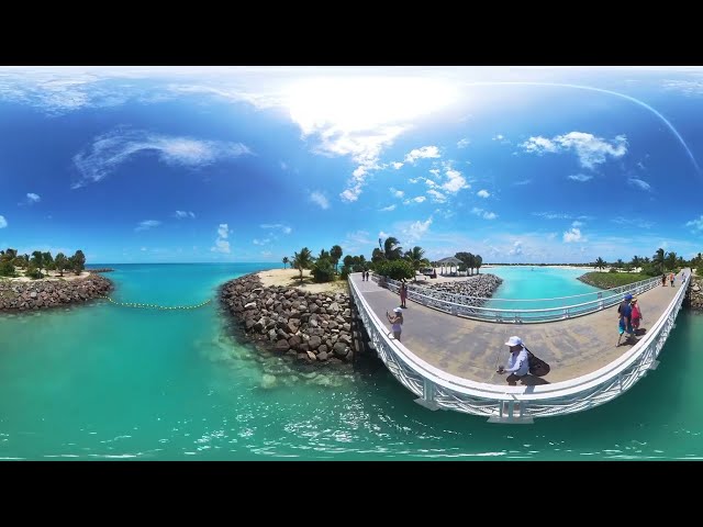 Meta Quest V.R Ocean Cay Will Take Your Breath Away#1msc Experience Like Never Before:360°videos