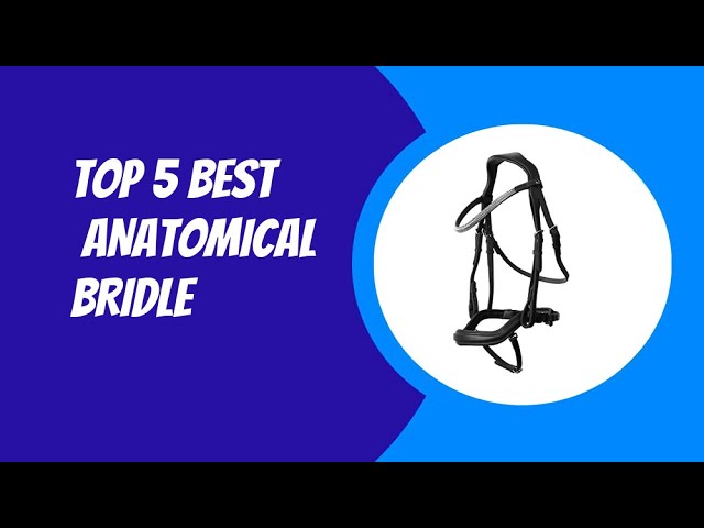 Top 5 Best Anatomical Bridle 2023