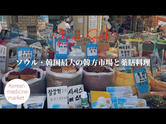 【ソウル韓方市場】韓国最大の韓方市場と薬膳食堂| Oriental medicine market | Yangnyeong market | 서울 약령시장 초보자 투어, 약선요리