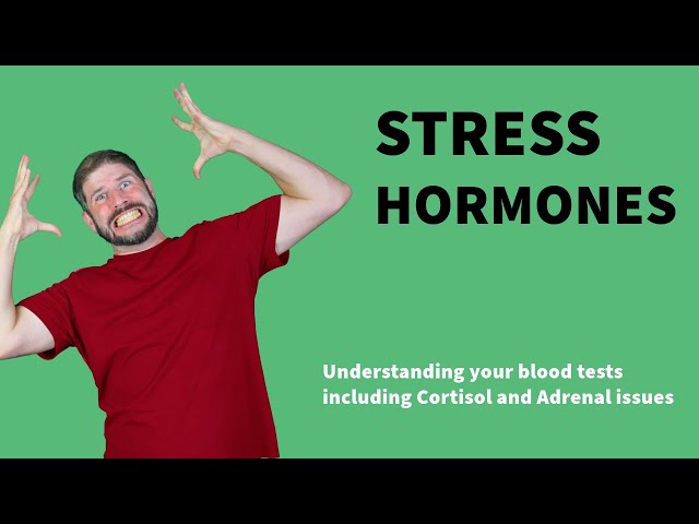 Stress hormone blood tests explained. Cortisol, Cushings and Adrenal fatigue