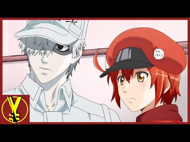 An Anime That You Can LEARN From? (Cells at Work) | YOUR EVERYDAY NERD