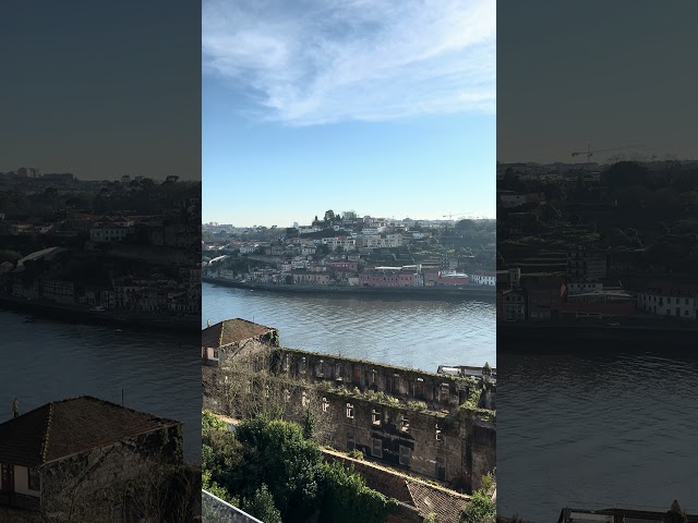 Another calm day in Porto #porto #riadouro #river #seagull #portugal #miradouro