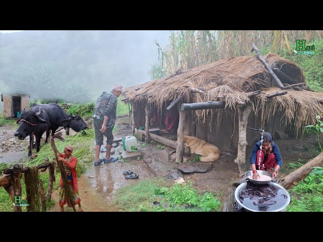 This is Himalayan Most Peaceful Nepali Village Life of Nepal | Organic Food Cooking in Countryside |