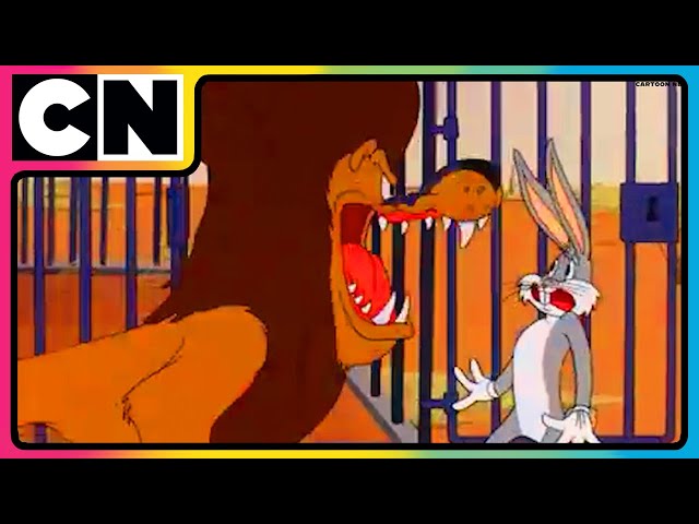 Looney Tunes🐰| Non-stop Fun 🤩| Let the Looney Fun Begin! 🤪 | 90s Cartoons | @cnindia