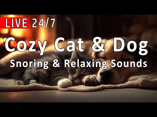 🔴 Cozy Cat & Dog Sleeping by the Fireplace | Snoring & Relaxing Sounds 24/7