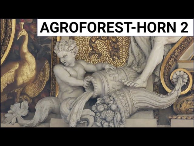 ***2 CARBON AGROFOREST: BEST HEALTH & HORN OF ABUNDANCE & SOLVING