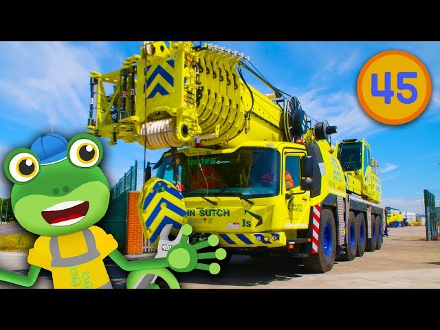 Gecko Meets A Real Crane | Gecko's Real Vehicles | Construction Trucks For Children