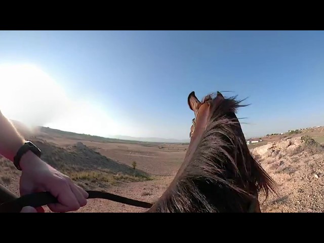 360 - Horse Riding Adventure #47 - Galloping In The Countryside - 360° VR 4K - GoPro Fusion