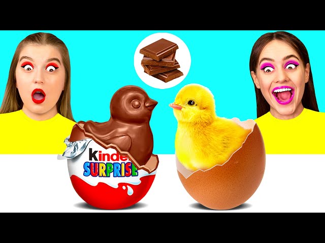 Real Food vs Chocolate Food Challenge | Awesome Kitchen Hacks by Fun Fun Challenge