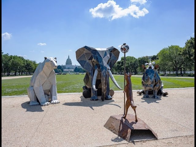 The Council of Animals Statue Exhibit 3D 180 VR