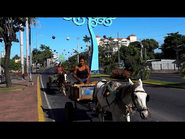 Travel From Nicaragua To USA - 4K - Final Ep. 10